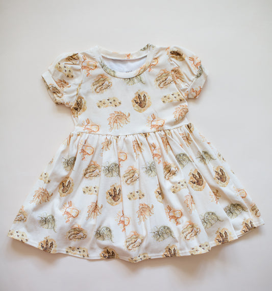 Fossil Dress
